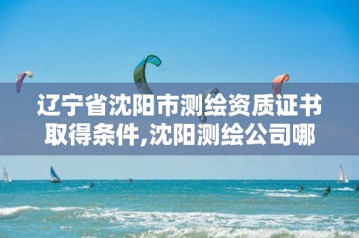 遼寧省沈陽市測繪資質證書取得條件,沈陽測繪公司哪家強哪家好。