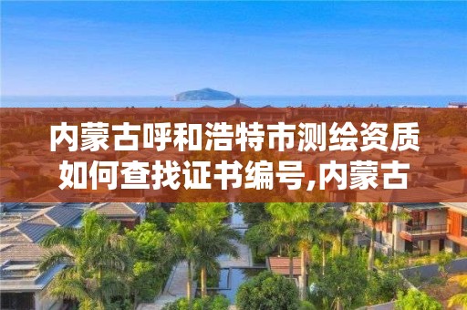 內蒙古呼和浩特市測繪資質如何查找證書編號,內蒙古測繪資質代辦。