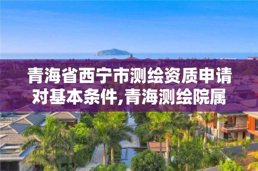 青海省西寧市測繪資質申請對基本條件,青海測繪院屬于什么單位。