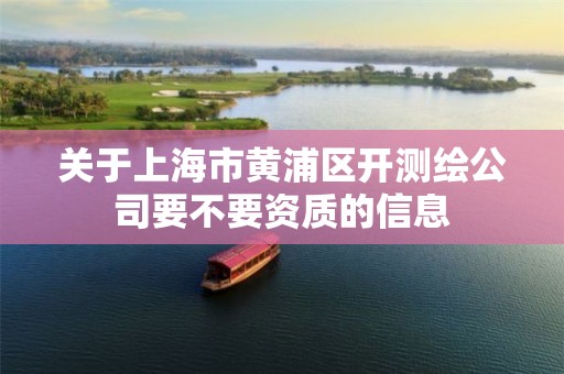 關于上海市黃浦區開測繪公司要不要資質的信息