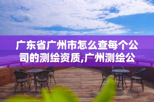 廣東省廣州市怎么查每個公司的測繪資質,廣州測繪公司有哪些。