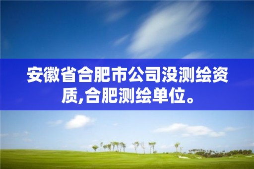 安徽省合肥市公司沒測繪資質,合肥測繪單位。