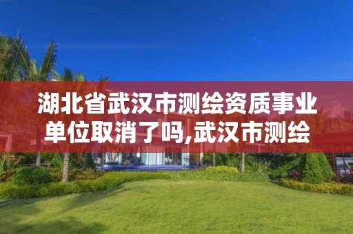 湖北省武漢市測繪資質事業單位取消了嗎,武漢市測繪工程技術規定。