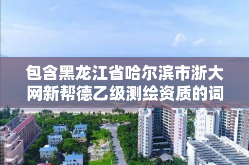 包含黑龍江省哈爾濱市浙大網新幫德乙級測繪資質的詞條