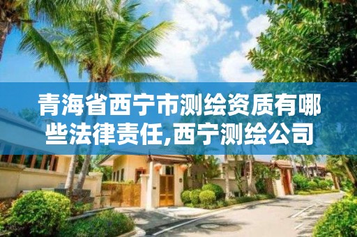 青海省西寧市測繪資質有哪些法律責任,西寧測繪公司聯系方式。