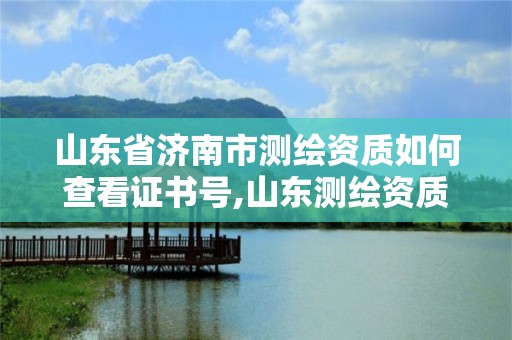 山東省濟南市測繪資質如何查看證書號,山東測繪資質管理平臺。