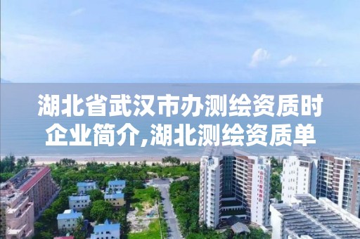 湖北省武漢市辦測繪資質時企業簡介,湖北測繪資質單位。