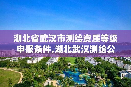 湖北省武漢市測繪資質(zhì)等級(jí)申報(bào)條件,湖北武漢測繪公司排行榜。