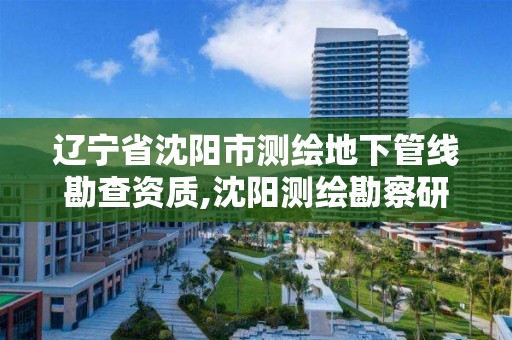 遼寧省沈陽市測繪地下管線勘查資質,沈陽測繪勘察研究院有限公司。