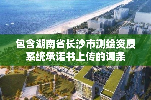 包含湖南省長沙市測繪資質系統承諾書上傳的詞條