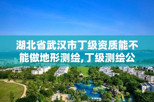 湖北省武漢市丁級資質能不能做地形測繪,丁級測繪公司注冊條件。