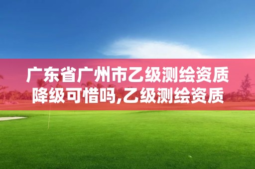 廣東省廣州市乙級測繪資質降級可惜嗎,乙級測繪資質業績要求。