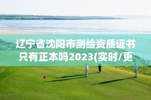 遼寧省沈陽市測繪資質證書只有正本嗎2023(實時/更新中)