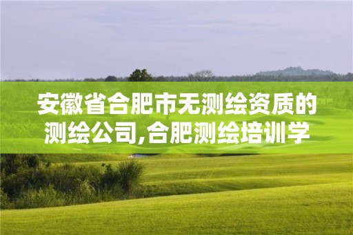 安徽省合肥市無測繪資質的測繪公司,合肥測繪培訓學校。