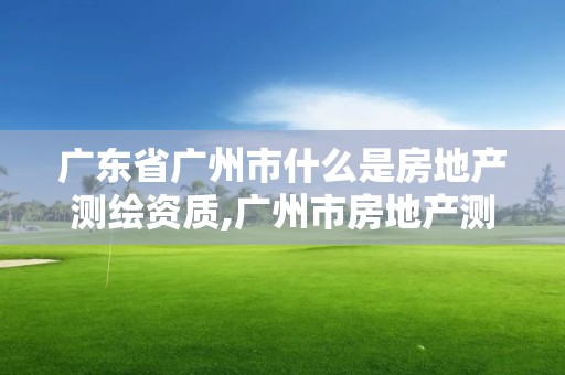 廣東省廣州市什么是房地產測繪資質,廣州市房地產測繪院怎么樣。