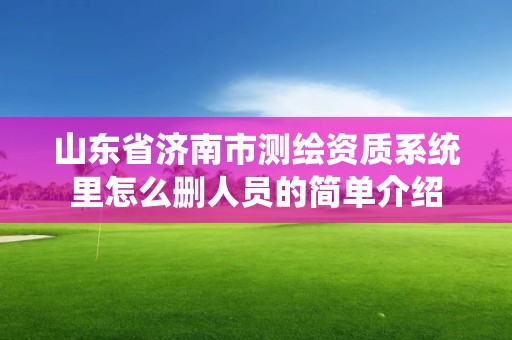 山東省濟南市測繪資質系統里怎么刪人員的簡單介紹