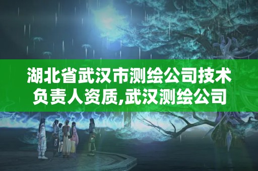 湖北省武漢市測繪公司技術負責人資質,武漢測繪公司招聘。