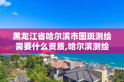 黑龍江省哈爾濱市圖斑測繪需要什么資質(zhì),哈爾濱測繪公司哪家好。