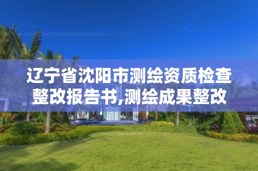 遼寧省沈陽市測繪資質(zhì)檢查整改報告書,測繪成果整改報告。