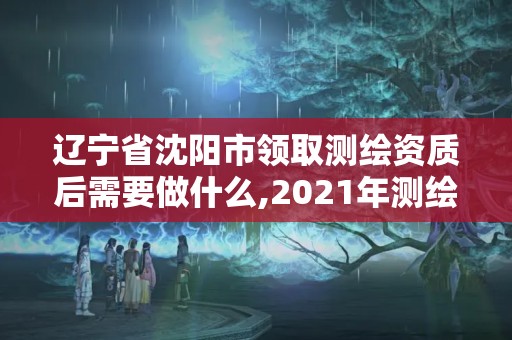 遼寧省沈陽市領取測繪資質后需要做什么,2021年測繪資質辦理。