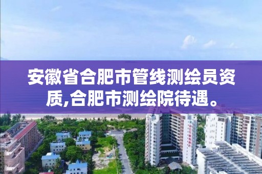 安徽省合肥市管線測繪員資質,合肥市測繪院待遇。