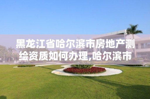 黑龍江省哈爾濱市房地產測繪資質如何辦理,哈爾濱市測繪局家屬樓。