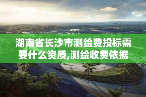 湖南省長沙市測繪費投標需要什么資質,測繪收費依據。