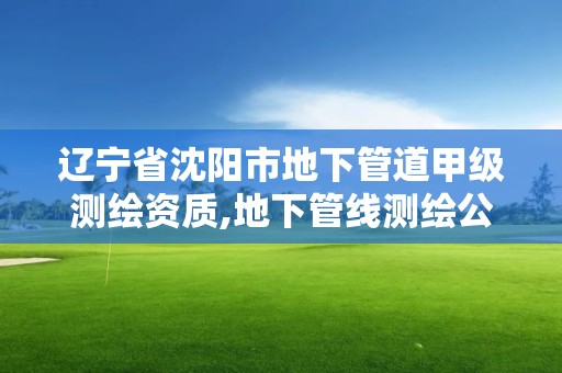 遼寧省沈陽(yáng)市地下管道甲級(jí)測(cè)繪資質(zhì),地下管線(xiàn)測(cè)繪公司。