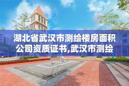 湖北省武漢市測繪樓房面積公司資質證書,武漢市測繪工程技術規定。