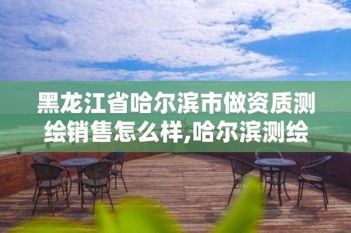 黑龍江省哈爾濱市做資質(zhì)測繪銷售怎么樣,哈爾濱測繪儀器檢測。