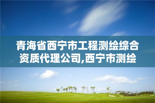 青海省西寧市工程測繪綜合資質代理公司,西寧市測繪院招聘公示。