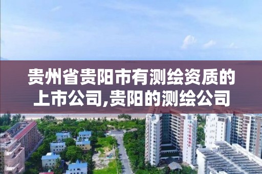 貴州省貴陽市有測繪資質的上市公司,貴陽的測繪公司有哪些。