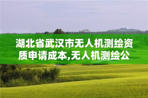 湖北省武漢市無人機測繪資質申請成本,無人機測繪公司注冊條件。