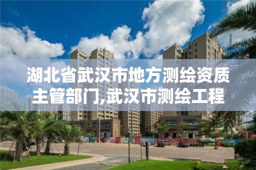 湖北省武漢市地方測繪資質(zhì)主管部門,武漢市測繪工程技術(shù)規(guī)定。