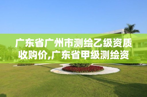 廣東省廣州市測(cè)繪乙級(jí)資質(zhì)收購(gòu)價(jià),廣東省甲級(jí)測(cè)繪資質(zhì)單位有多少。