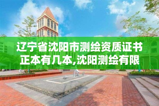 遼寧省沈陽市測繪資質證書正本有幾本,沈陽測繪有限公司。