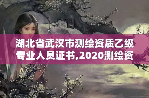 湖北省武漢市測繪資質乙級專業人員證書,2020測繪資質乙級標準。