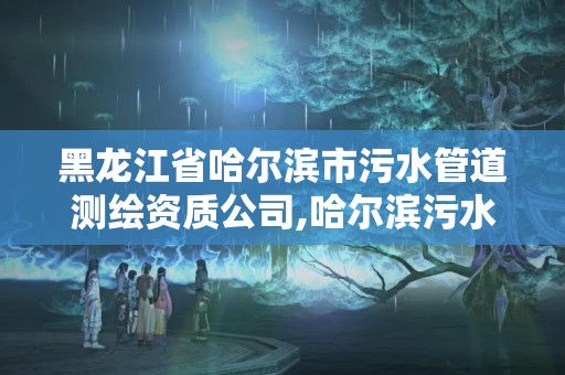 黑龍江省哈爾濱市污水管道測繪資質公司,哈爾濱污水檢測。