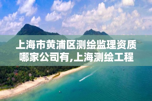 上海市黃浦區測繪監理資質哪家公司有,上海測繪工程師。