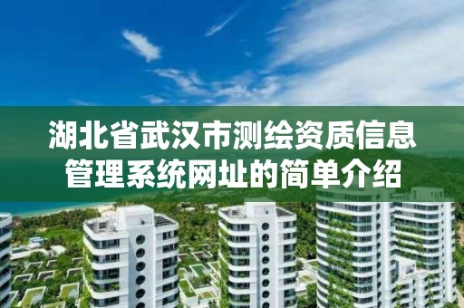 湖北省武漢市測繪資質信息管理系統網址的簡單介紹