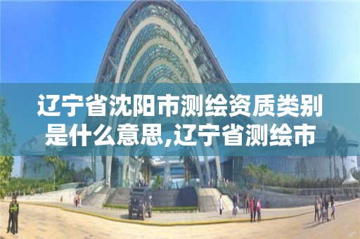 遼寧省沈陽市測繪資質類別是什么意思,遼寧省測繪市場管理辦法。