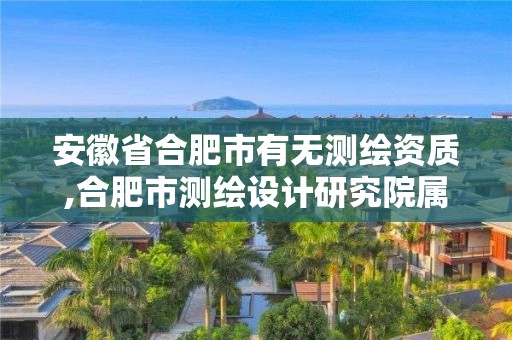 安徽省合肥市有無測(cè)繪資質(zhì),合肥市測(cè)繪設(shè)計(jì)研究院屬于企業(yè)嗎?。