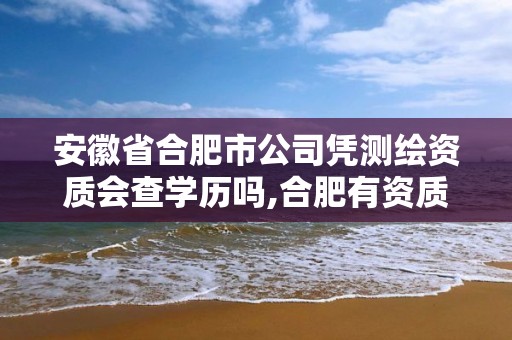 安徽省合肥市公司憑測繪資質會查學歷嗎,合肥有資質的測繪公司。