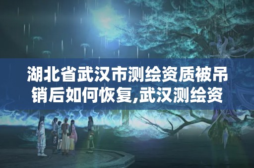 湖北省武漢市測繪資質被吊銷后如何恢復,武漢測繪資質代辦。