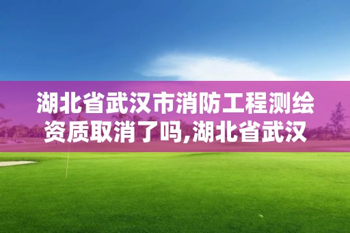 湖北省武漢市消防工程測繪資質(zhì)取消了嗎,湖北省武漢市消防工程測繪資質(zhì)取消了嗎現(xiàn)在。