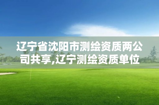 遼寧省沈陽市測繪資質兩公司共享,遼寧測繪資質單位。