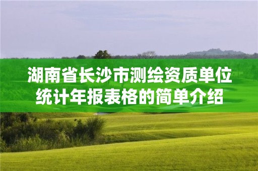 湖南省長沙市測繪資質(zhì)單位統(tǒng)計年報表格的簡單介紹