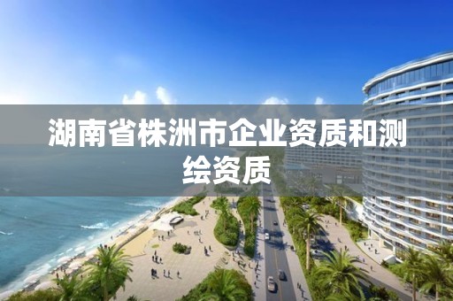 湖南省株洲市企業(yè)資質(zhì)和測(cè)繪資質(zhì)