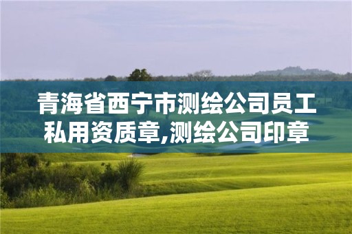 青海省西寧市測繪公司員工私用資質章,測繪公司印章。