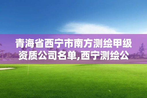 青海省西寧市南方測繪甲級資質公司名單,西寧測繪公司有哪些。